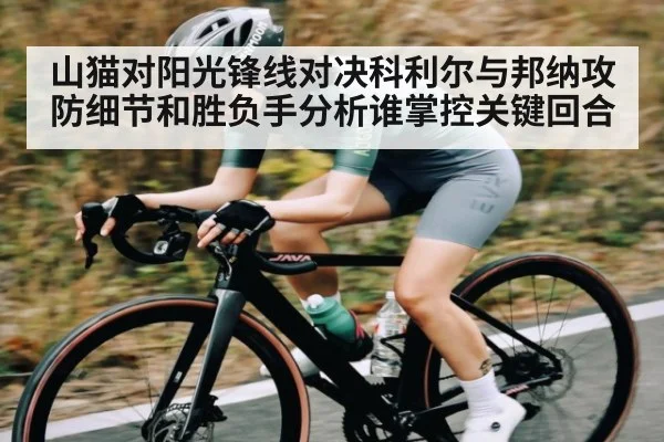山猫对阳光锋线对决科利尔与邦纳攻防细节和胜负手分析谁掌控关键回合